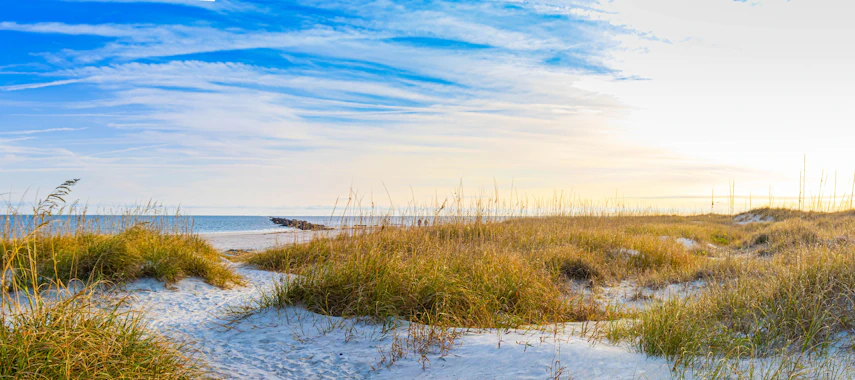 Amelia Island Blog