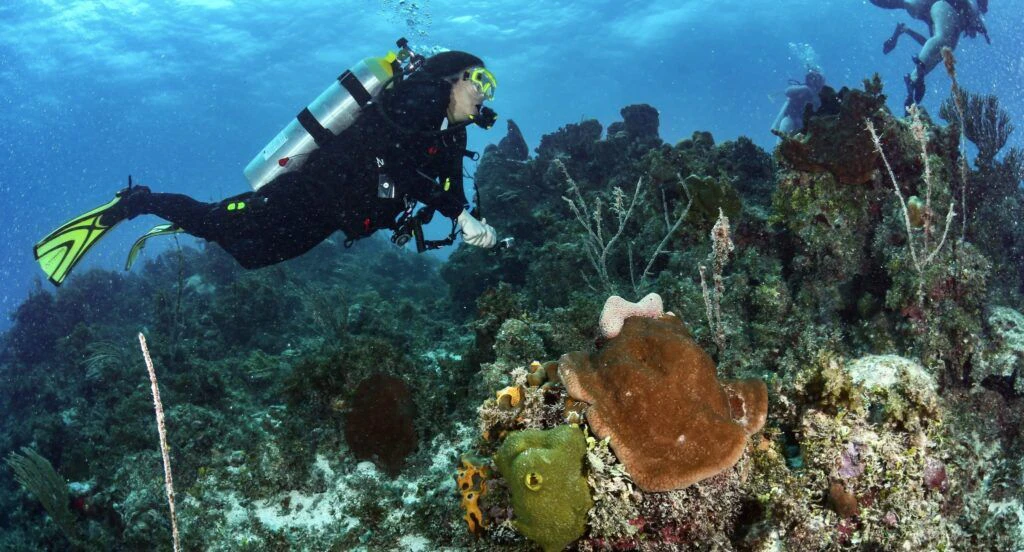 dressel-divers-cancun-001