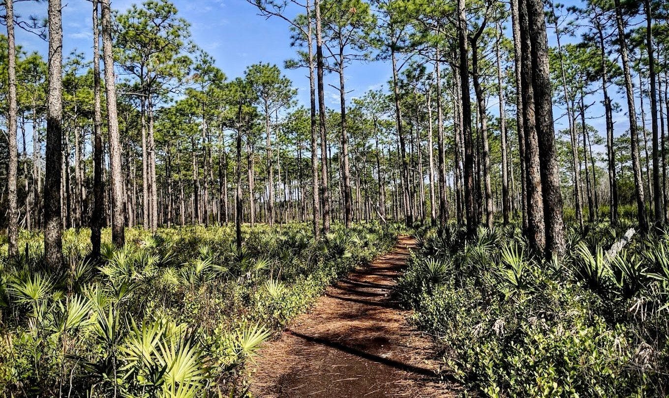 Grayton Beach State Park 01.jpg