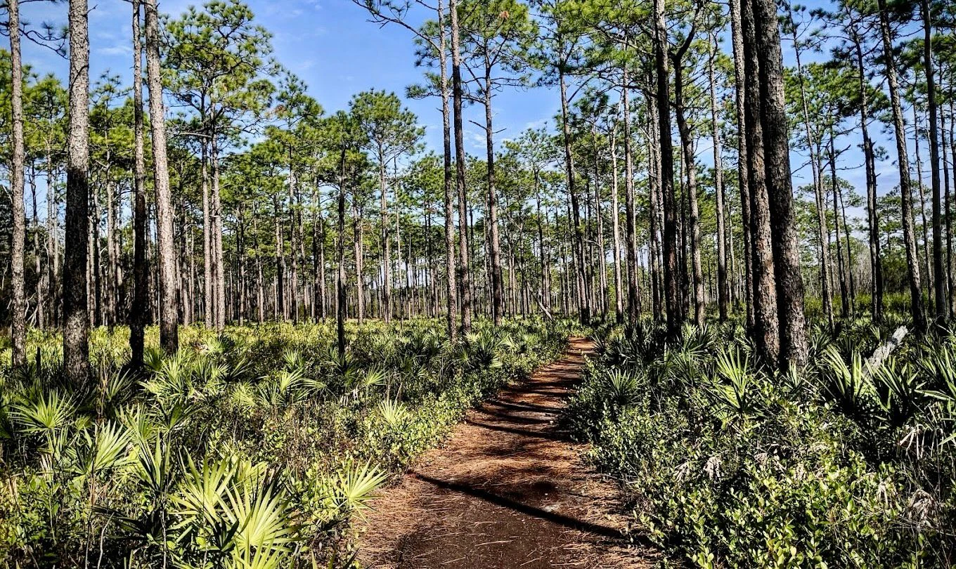 Grayton Beach State Park 01.jpg
