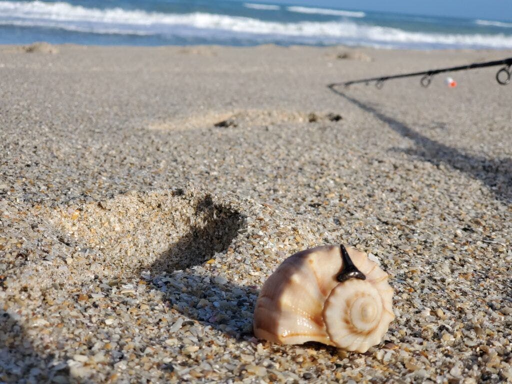 treasure-shores-park-004