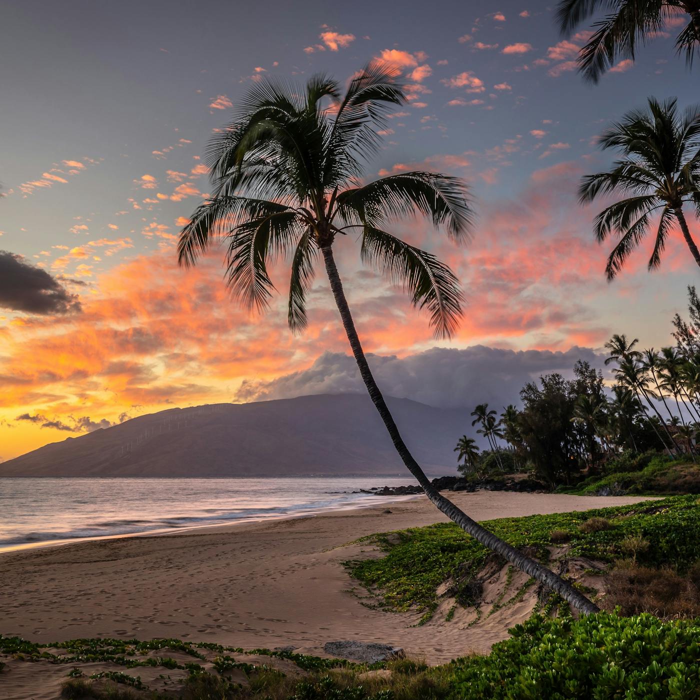 Maui