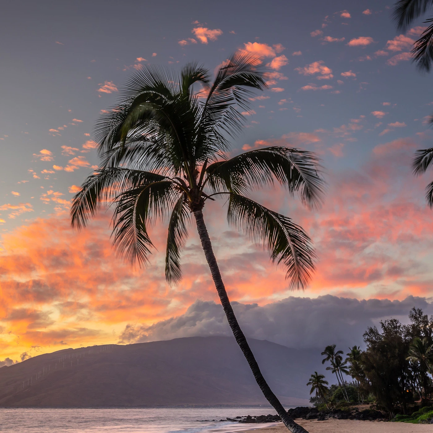 Maui 3.jpg