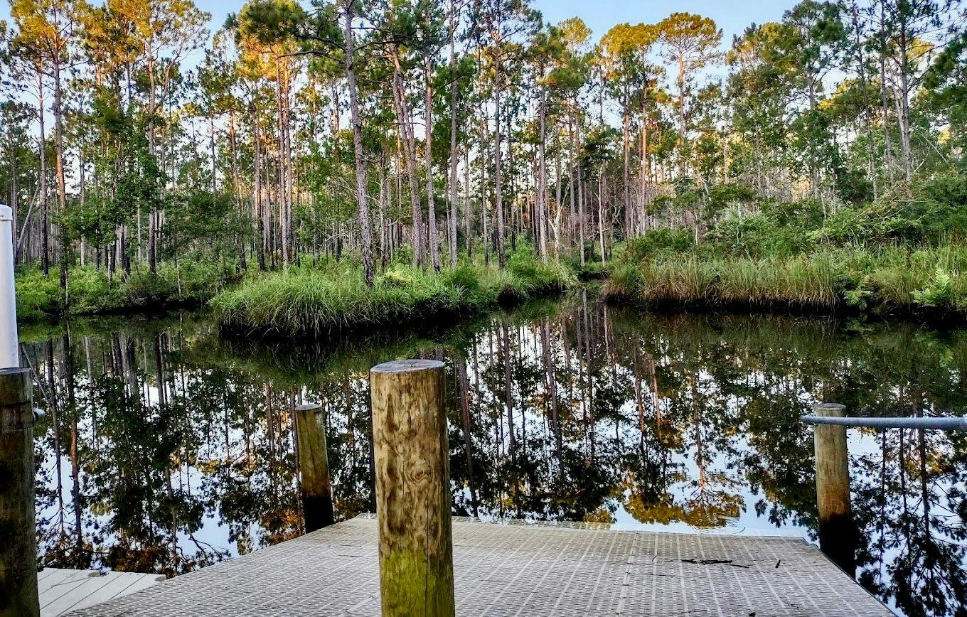 Graham Creek 4.jpeg