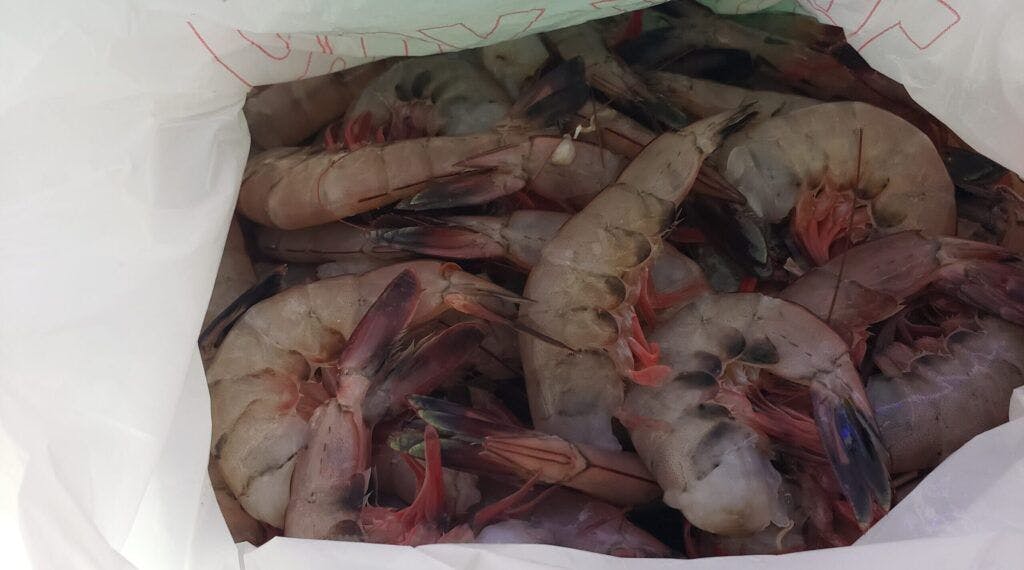 american-seafood-004