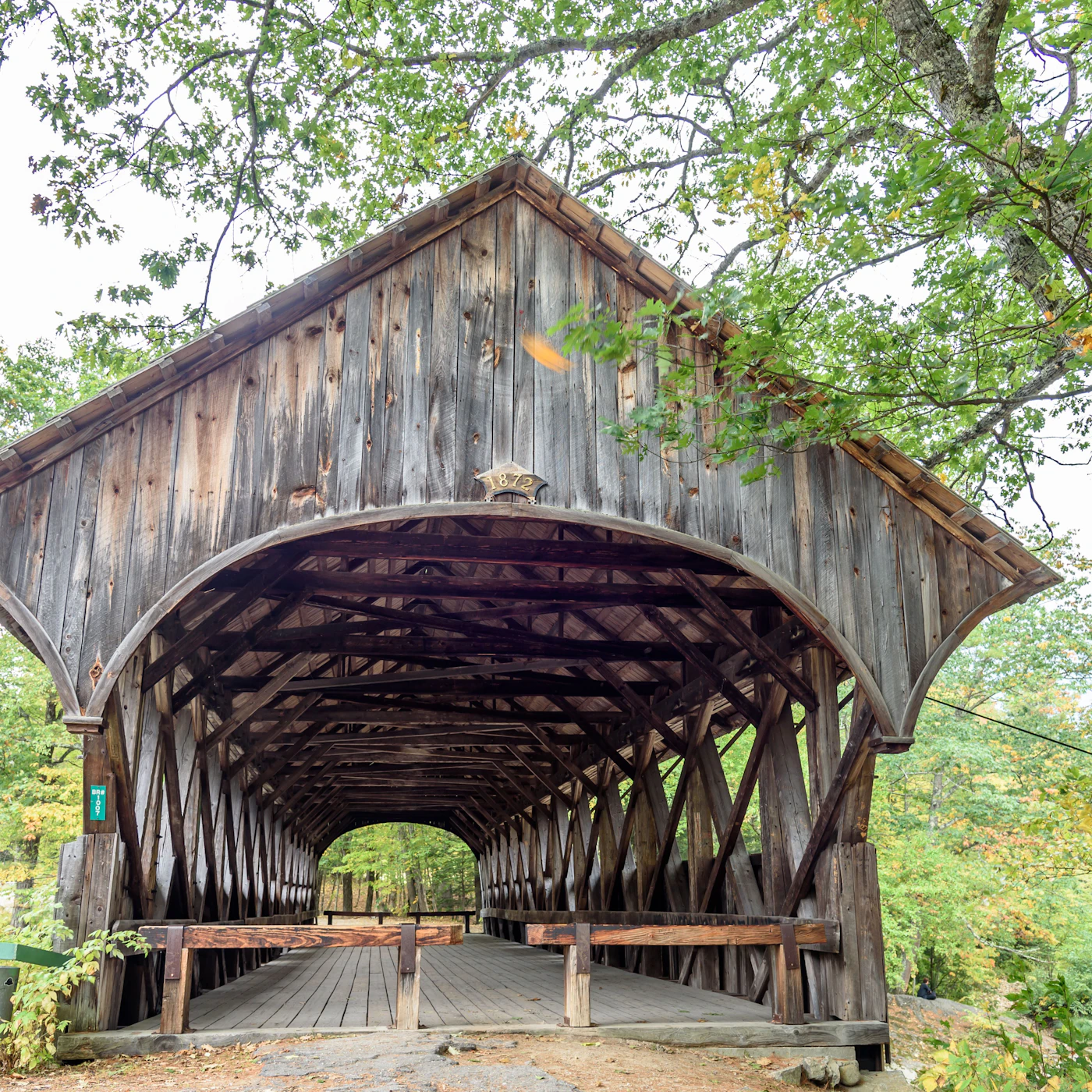 AdobeStock_293026039.jpeg