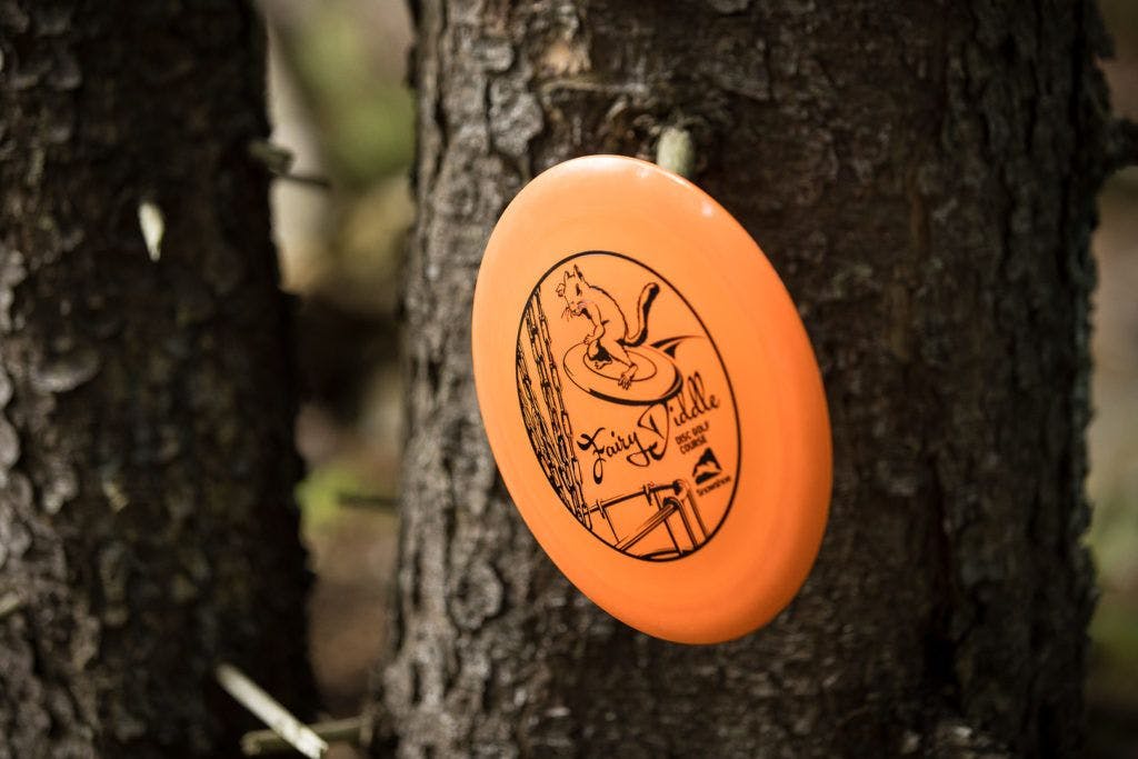 fairy-diddle-disc-golf-013