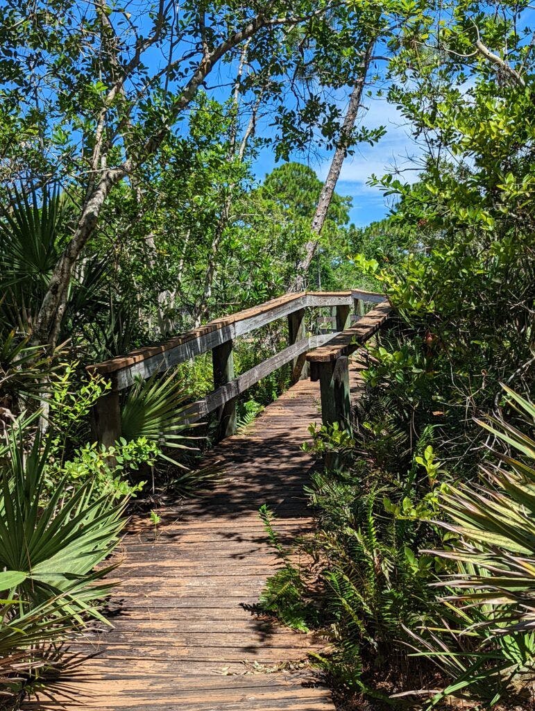 Spruce Bluff Preserve