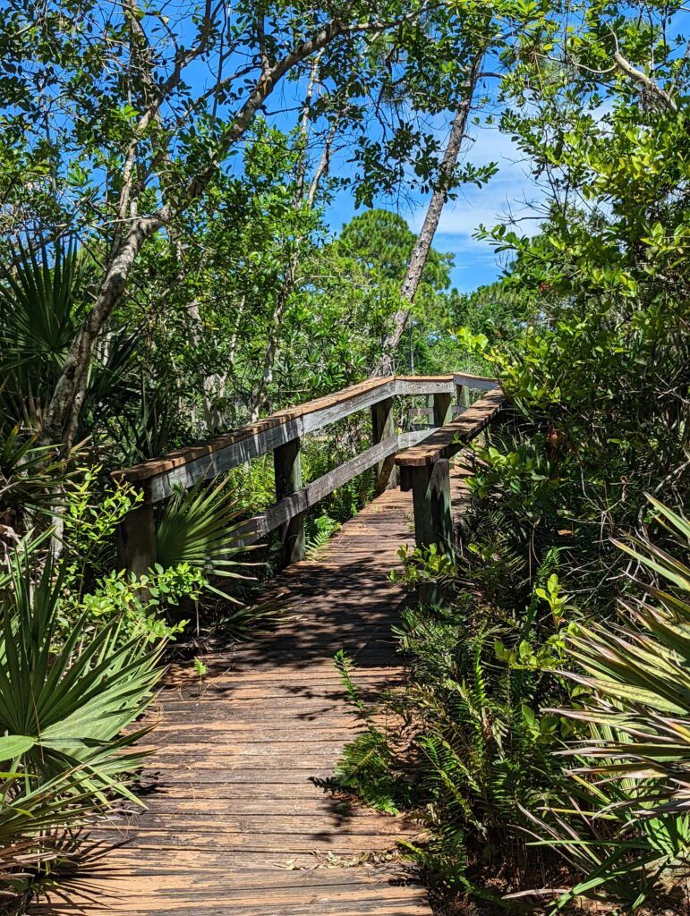 spruce-bluff-preserve-001