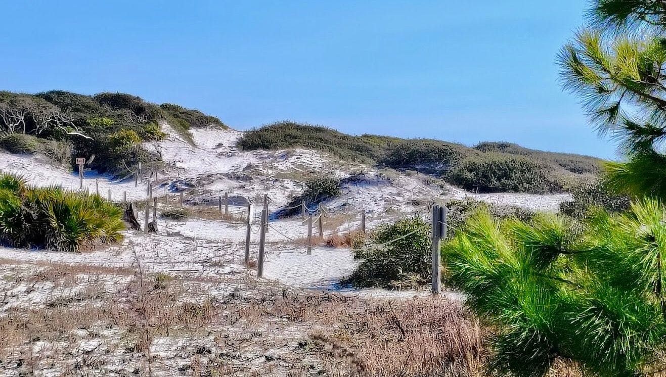 Grayton Beach State Park 05.jpeg