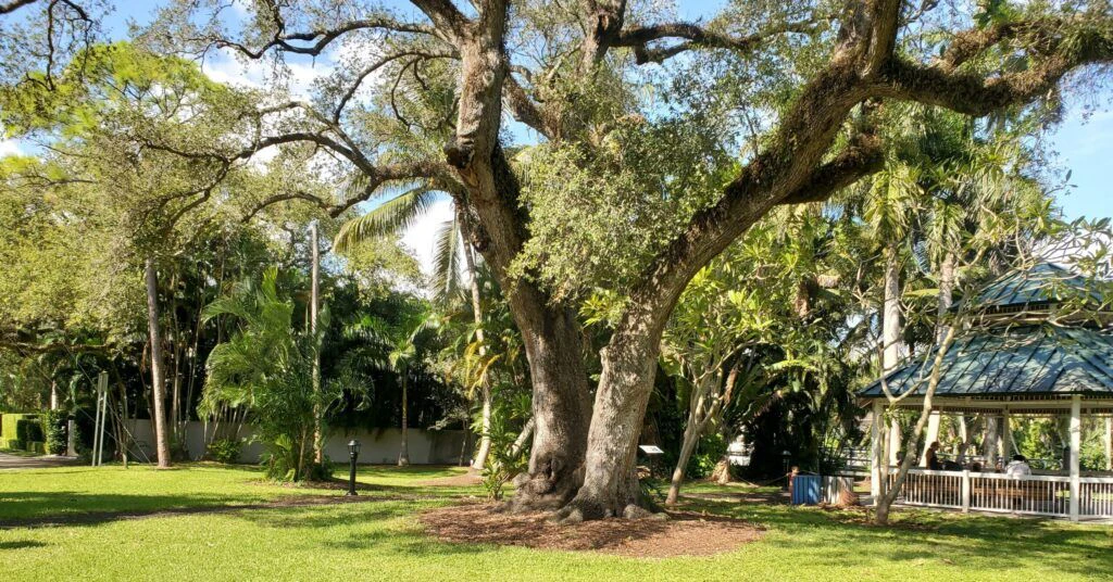 lewis-landing-park-004