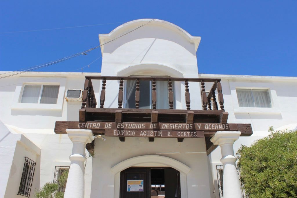 cedo-intercultural-center-for-the-study-of-deserts-and-oceans-005