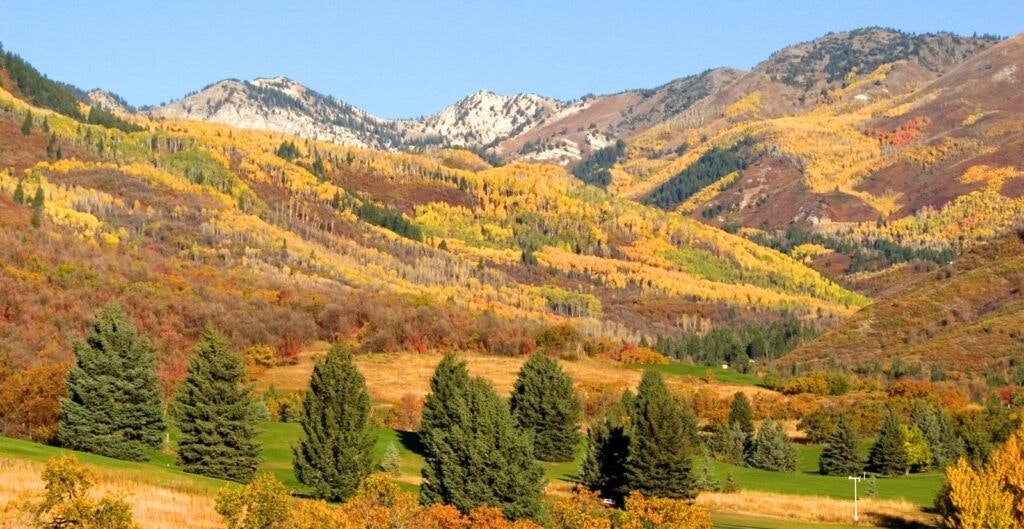 wasatch-mountain-state-park-002