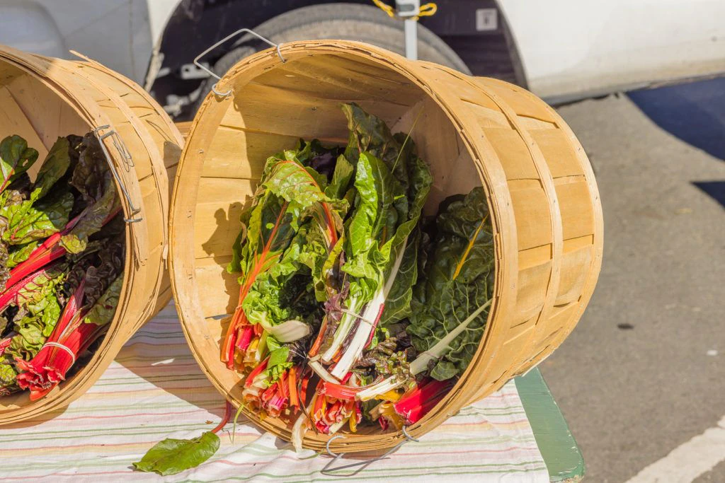 arcata-plaza-farmer-s-market-003