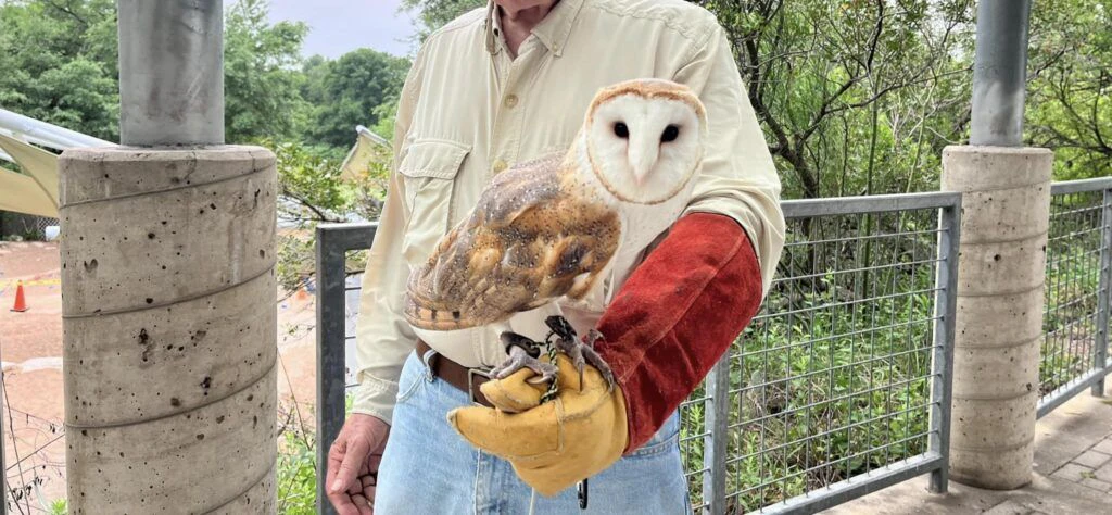 austin-nature-and-science-center-002