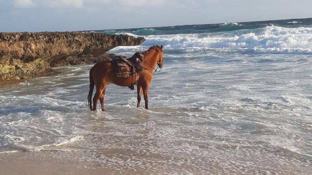 rancho-notorious-002