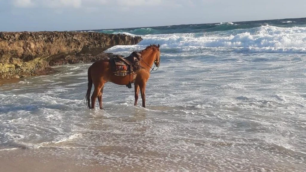 rancho-notorious-002