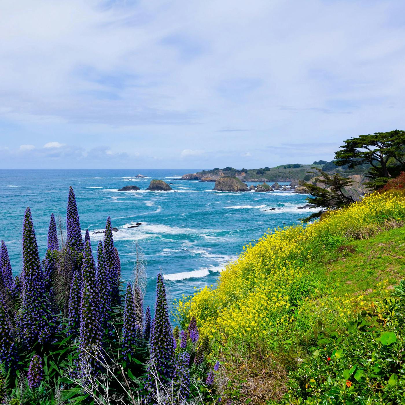 Mendocino Coast