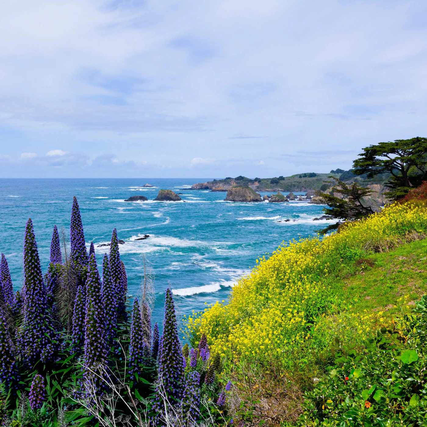 Hero Image-mendocino.jpg