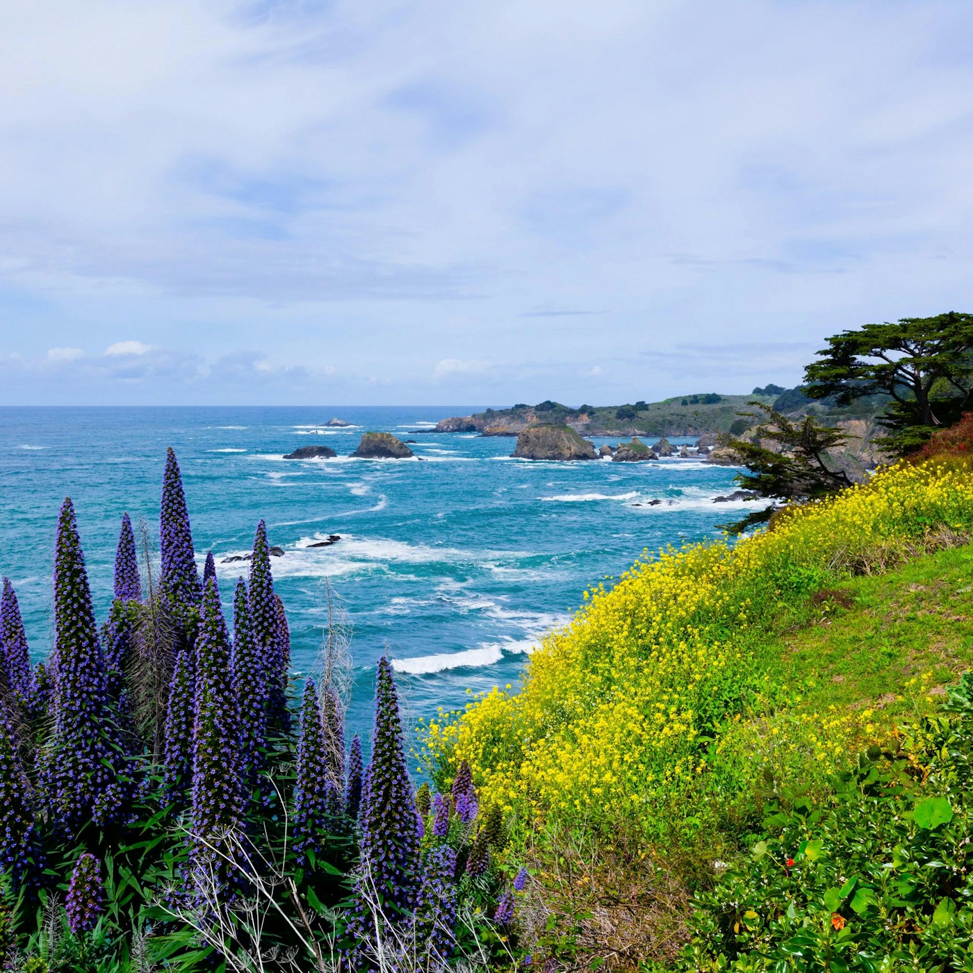 Mendocino Coast