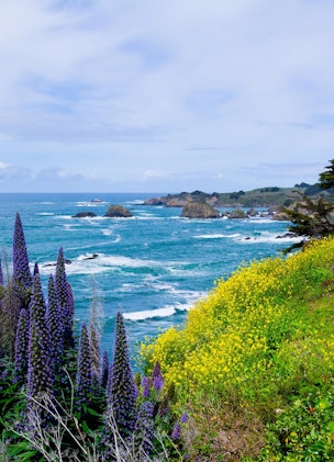 Mendocino Coast