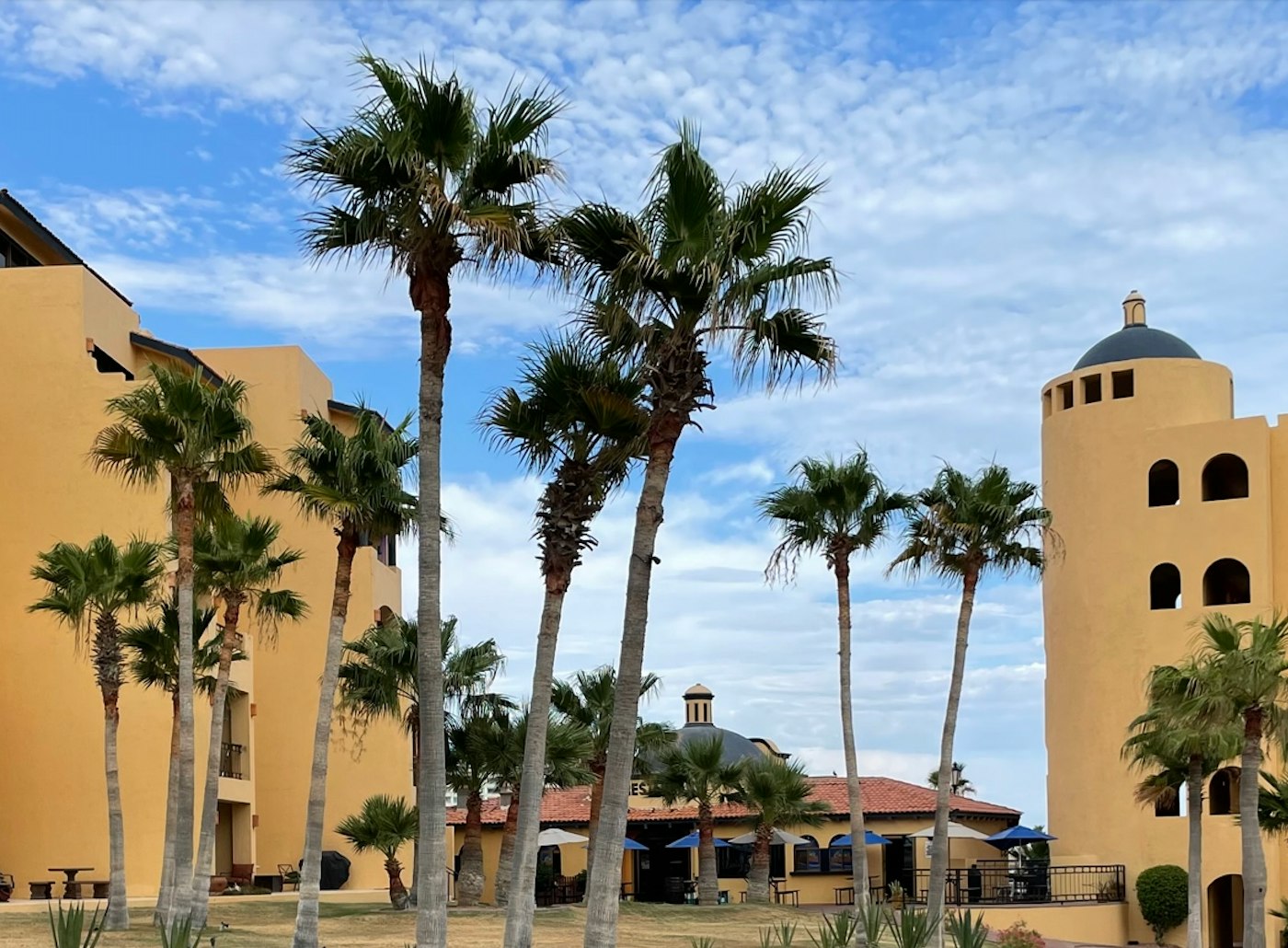 Ana María Rodríguez García: At home with Casago since the beginning