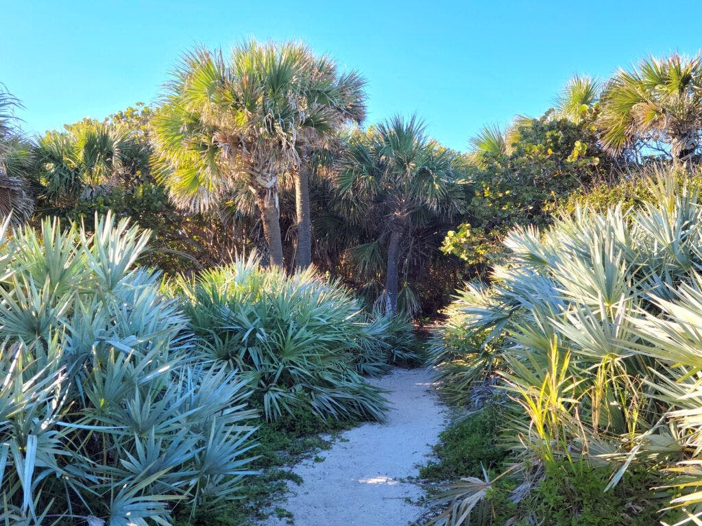 treasure-shores-park-001