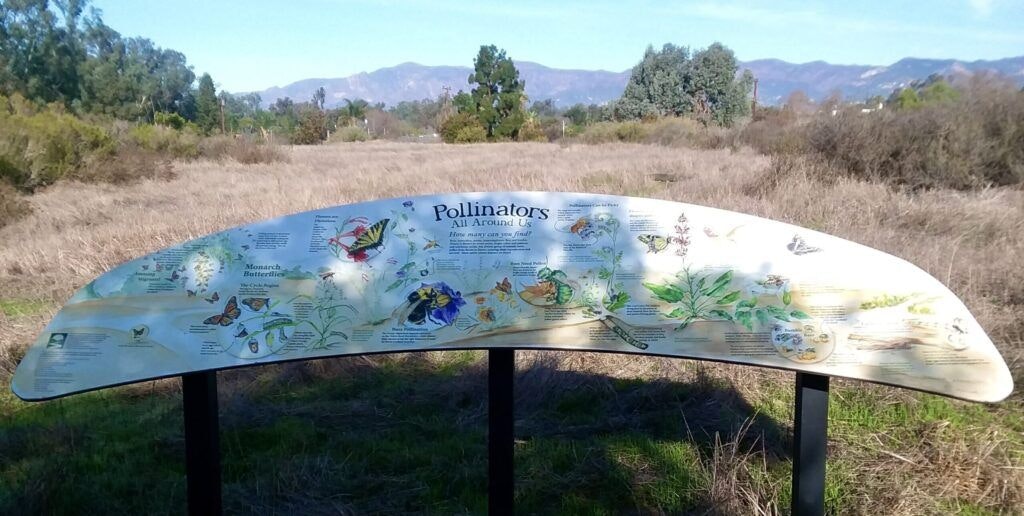 coronado-butterfly-preserve-001