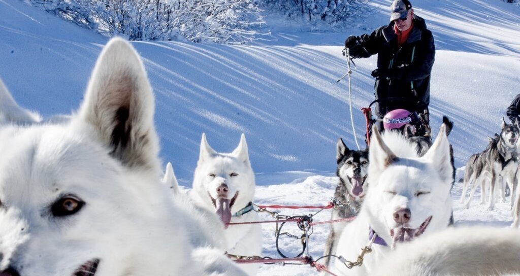 all-seasons-adventures-001