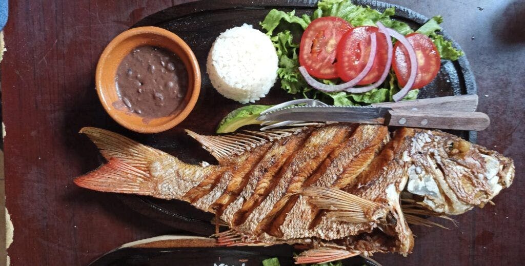 restaurante-estrada-002