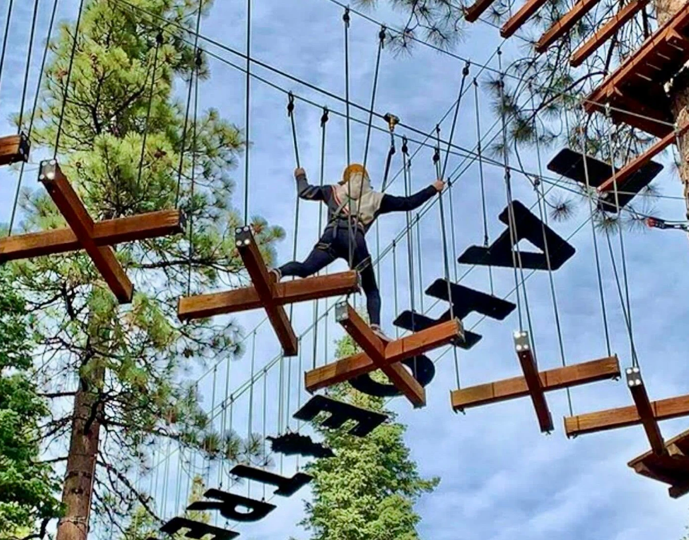 Treetop 4.jpeg