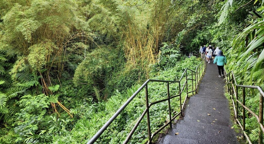 akaka-falls-state-park-004
