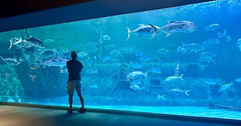 North Carolina Aquarium at Pine Knoll Shores