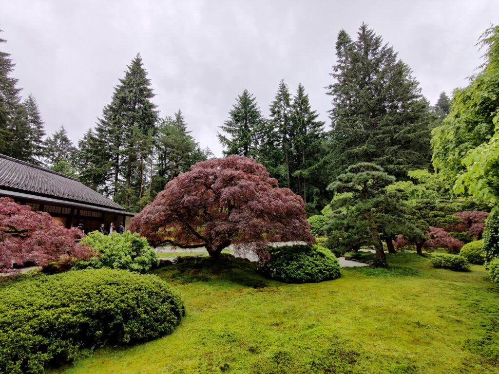 portland-japanese-garden-003