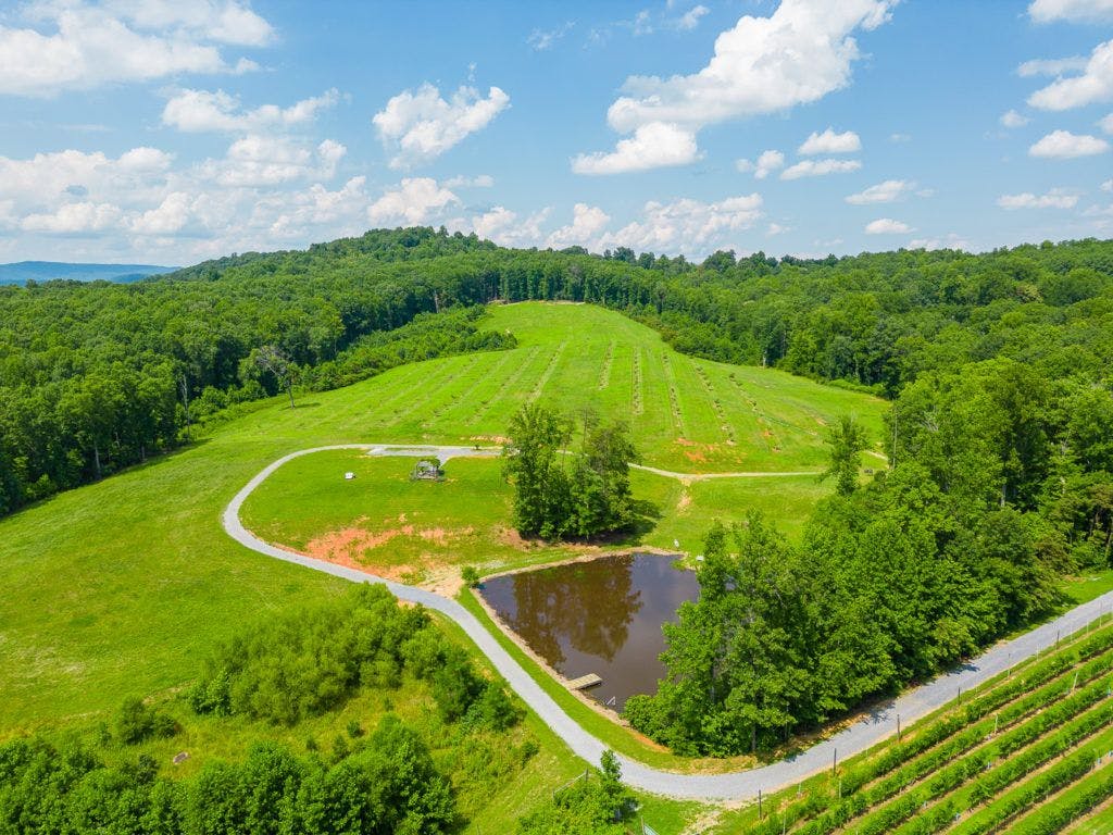 fables-and-feathers-winery-011