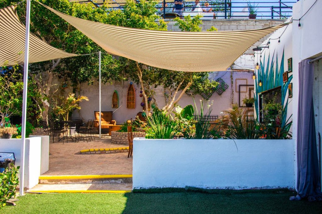 grapes-and-barley-010