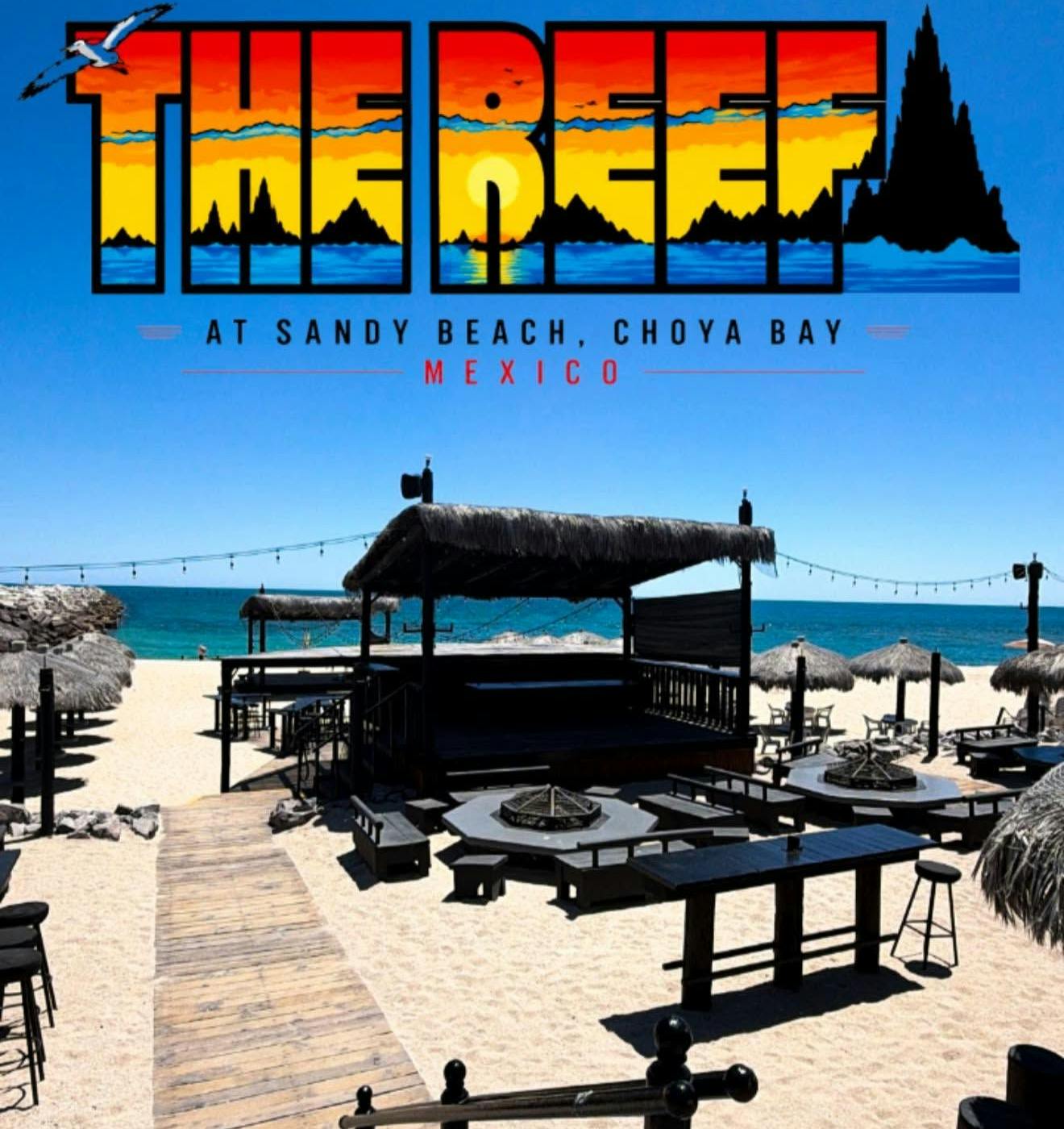 the reef.jpg