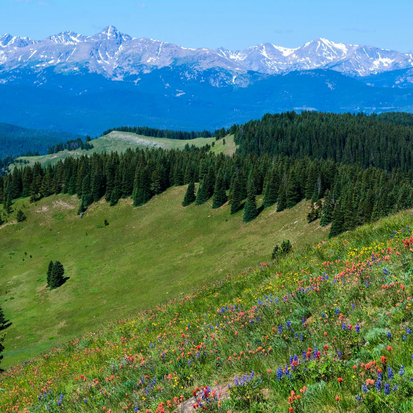Vail