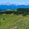 Vail