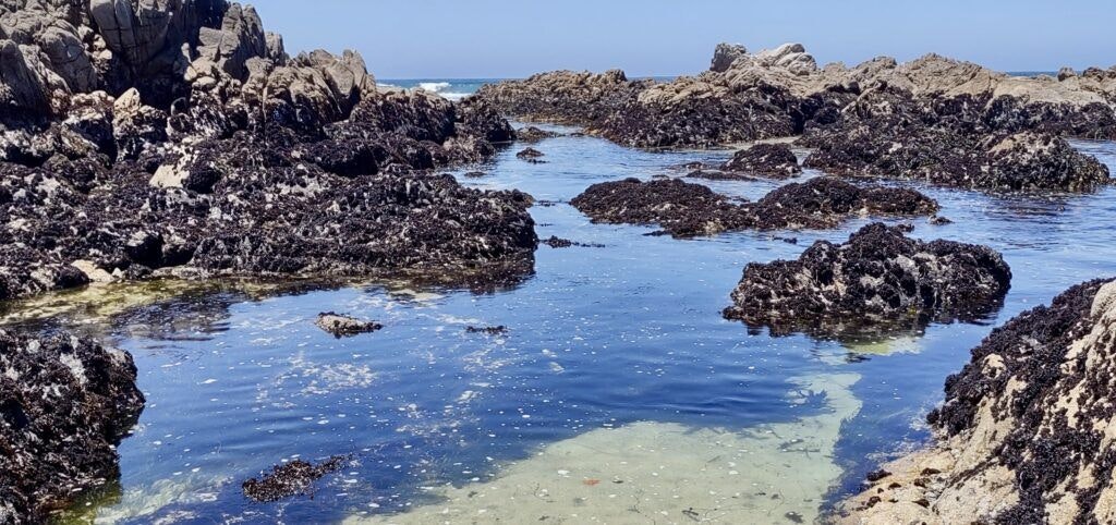 spyglass-beach-tide-pools-002