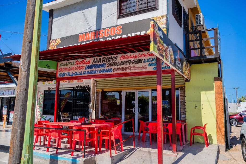 el-calamar-gigante-013