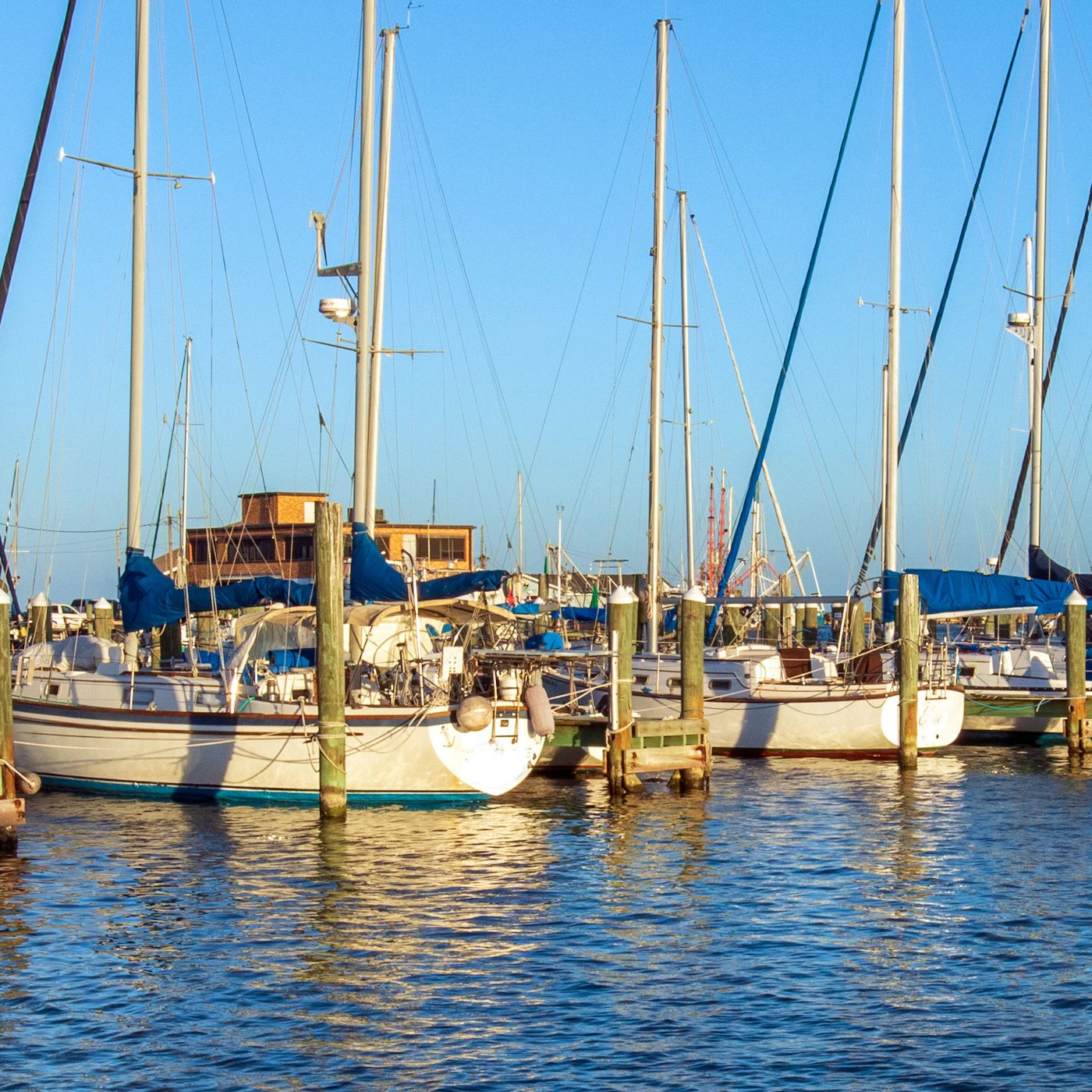 AdobeStock_516413661.jpeg