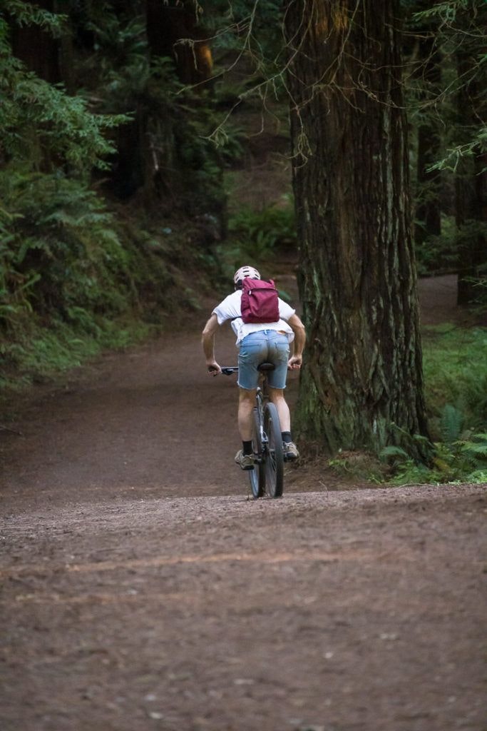 arcata-community-forest-014