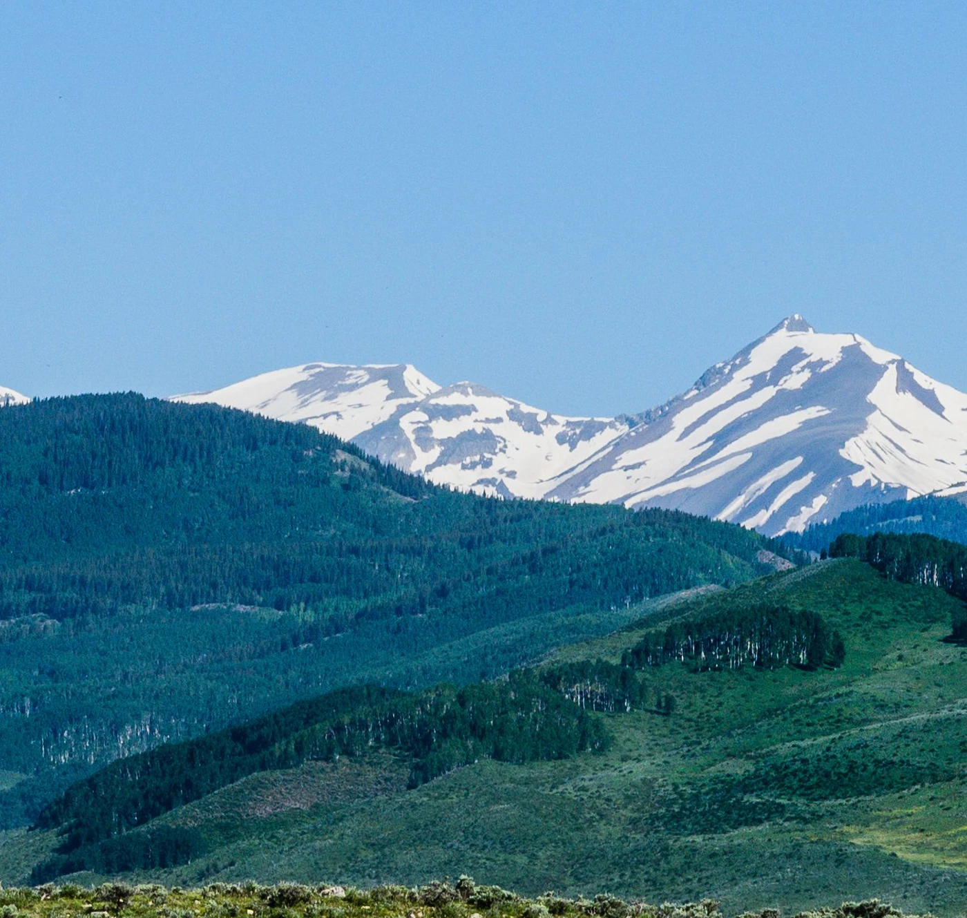 AdobeStock_141766760.jpeg