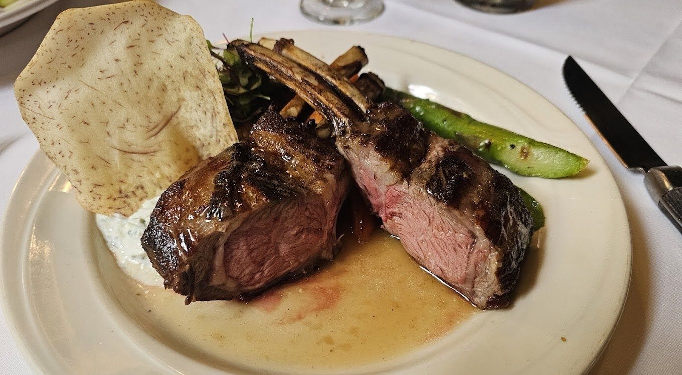 Wally’s Desert Turtle 5.jpeg