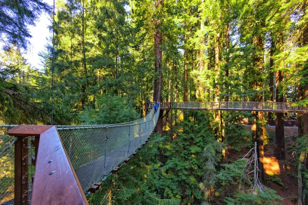 sequoia-park-zoo-and-redwood-sky-walk-010