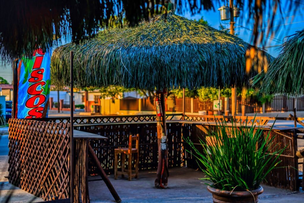 la-palapa-de-don-margaro-004