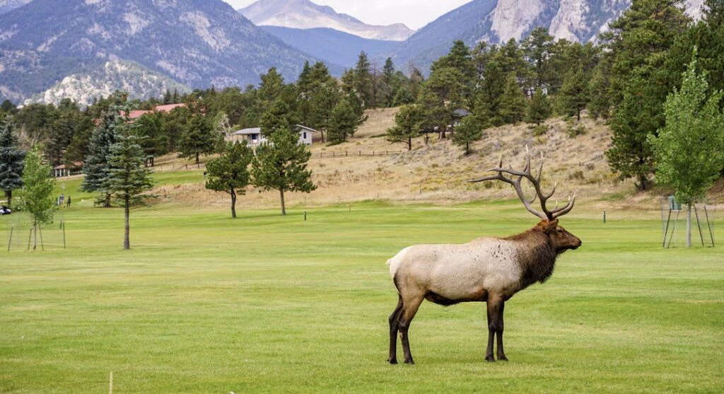 lake-estes-trail-003