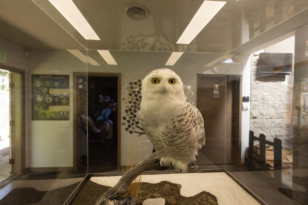 sunriver-nature-center-and-oregon-observatory-018