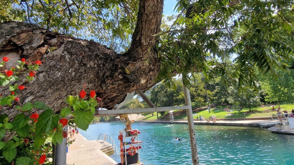 Barton Springs Municipal Pool